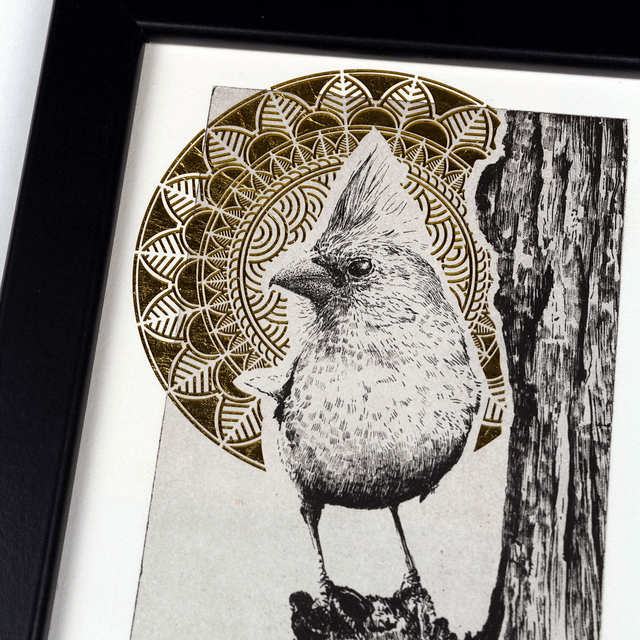 Fine art etching / Not framed / Golden Northern Cardinal