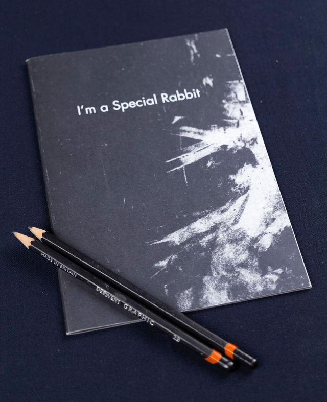 Chapbook /  "I'm a Special Rabbit"