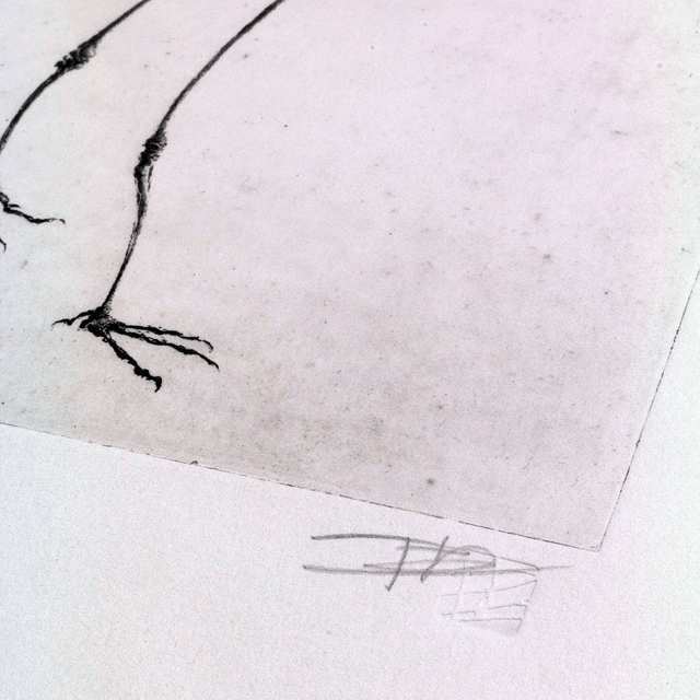Fine art etching / Not framed / Bird Skull I