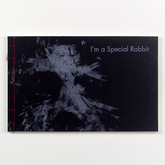 Book - Collector Object - Original intaglio etchings - I'm a Special Rabbit