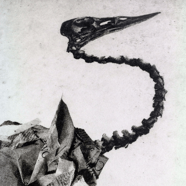Fine art etching / Not framed / Bird Skull I