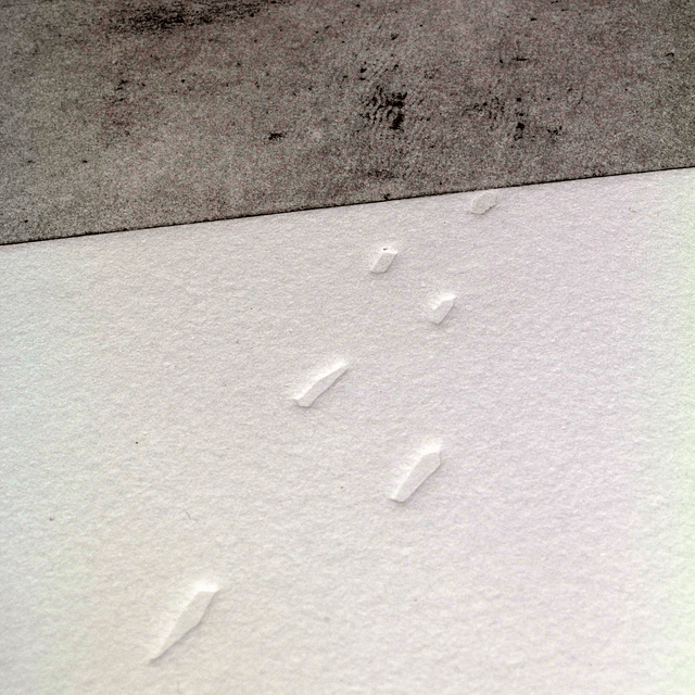 Fine art etching / Not framed / Footprints in the snow