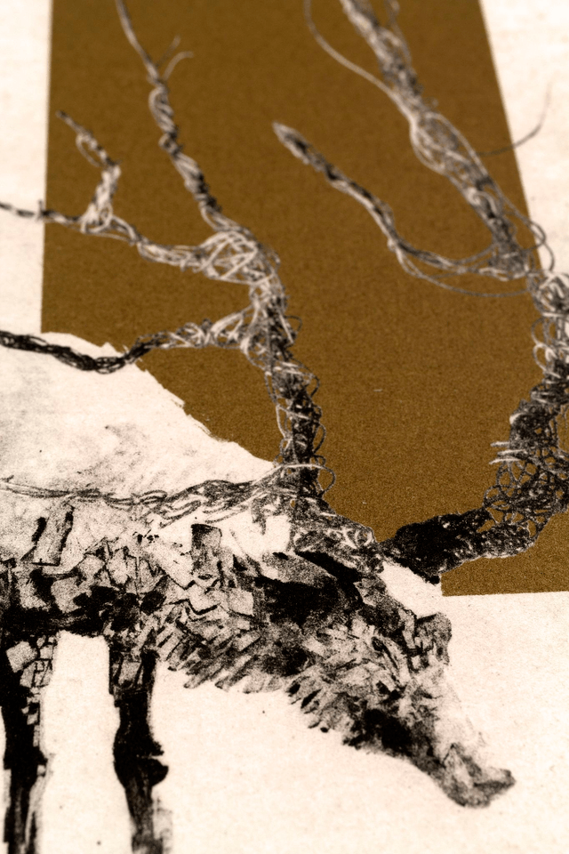 Fine art etching / Not Framed / The Deer