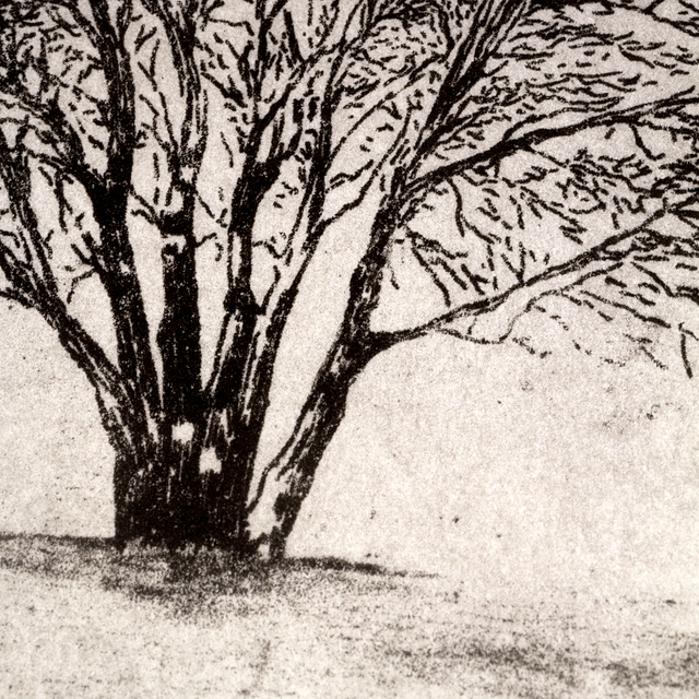 Fine art etching / Not framed / Footprints in the snow