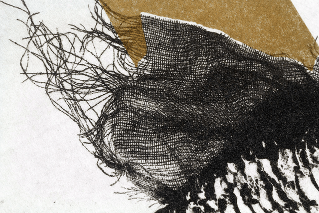 Fine art etching / Not Framed / The Fish