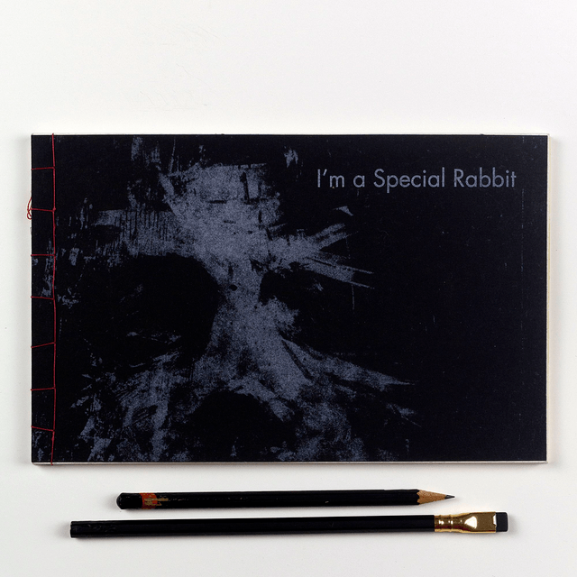 Book - Collector Object - Original intaglio etchings - I'm a Special Rabbit