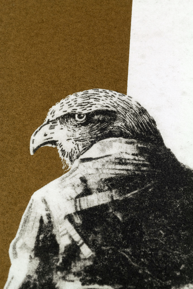 Fine art etching / Not framed / The Schoolboy