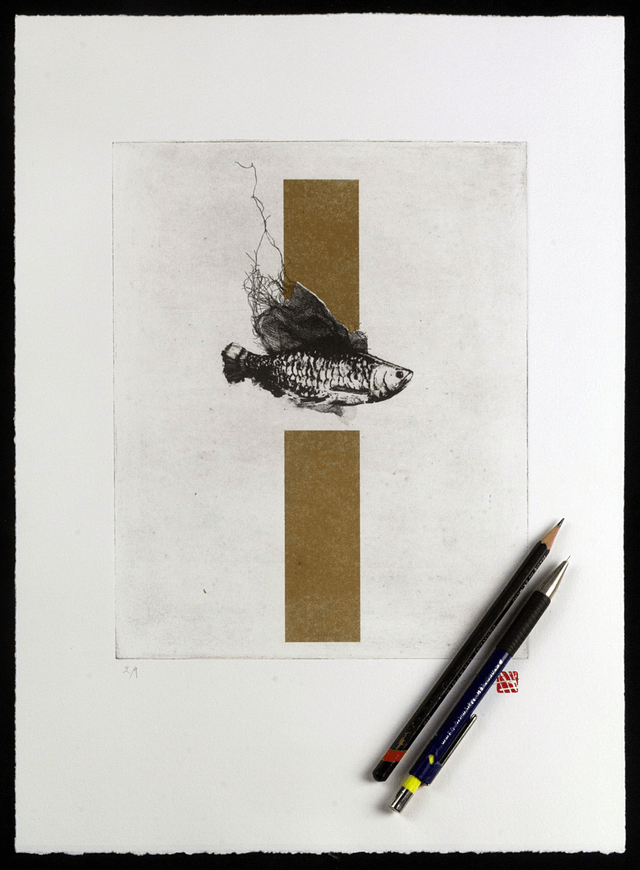 Fine art etching / Not Framed / The Fish
