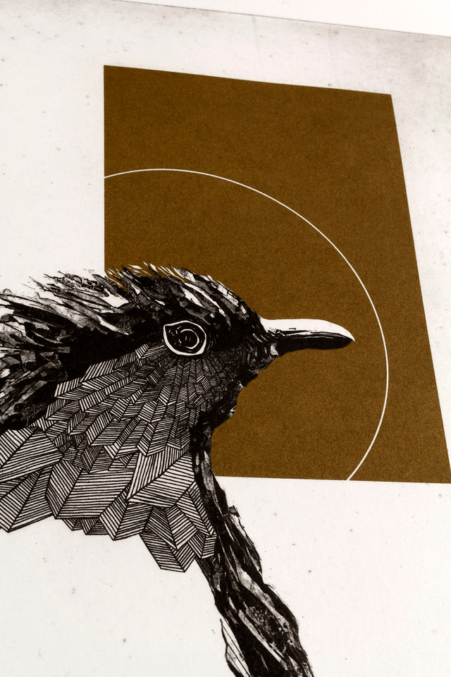 Fine art etching / Not framed / The Robin Bird