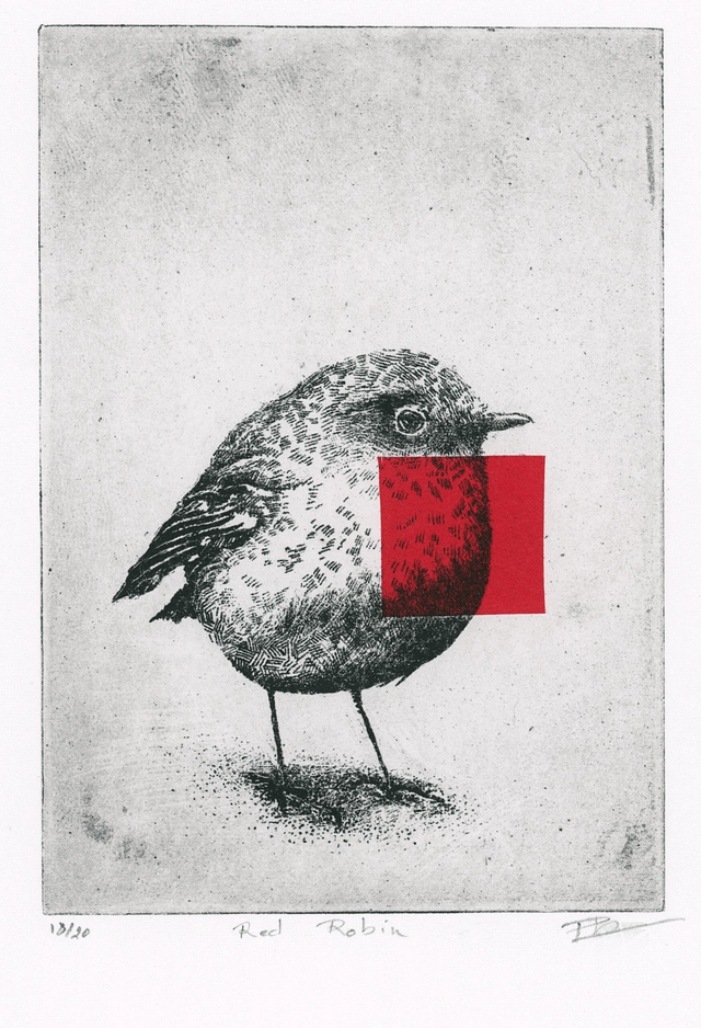 Fine art etching / Not framed / Red Robin bird
