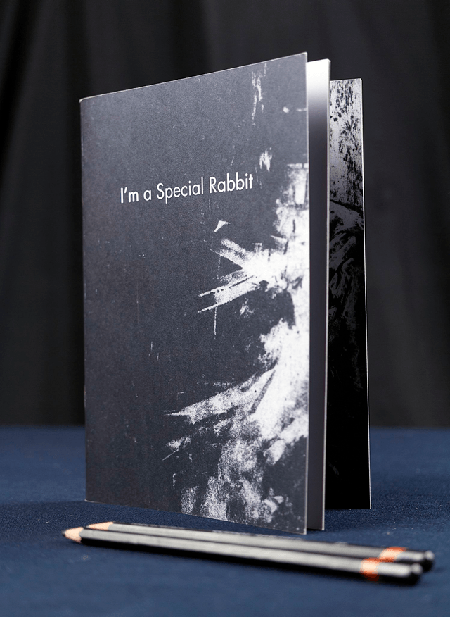 Chapbook /  "I'm a Special Rabbit"