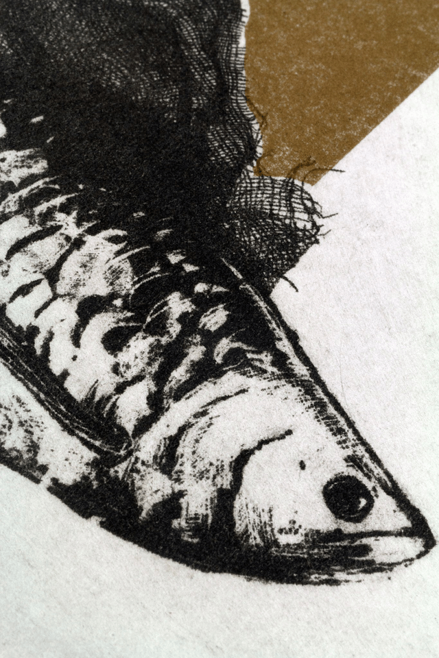 Fine art etching / Not Framed / The Fish