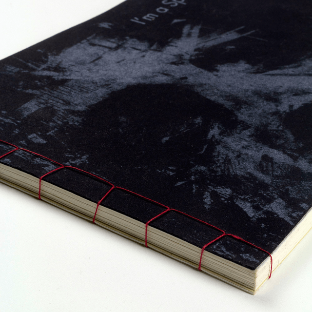 Book - Collector Object - Original intaglio etchings - I'm a Special Rabbit