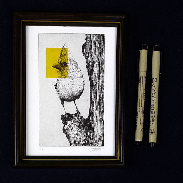 Fine art etching / Vintage Frame / Northern Cardinal