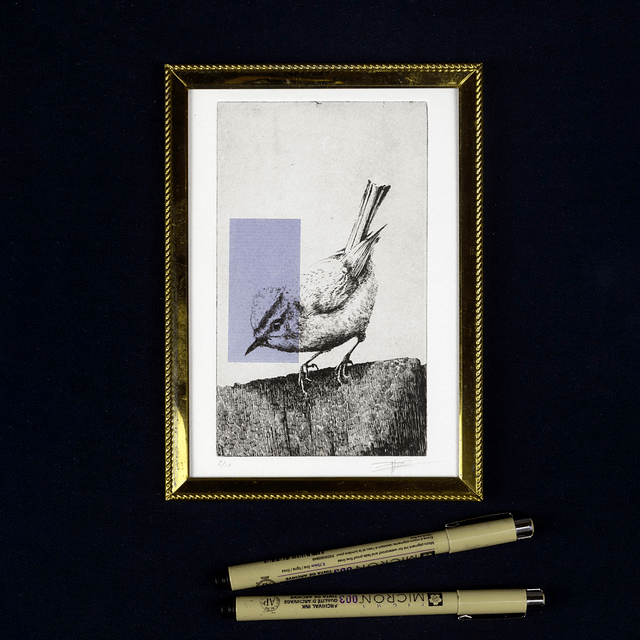 Fine art etching / Vintage frame / Firecrest bird