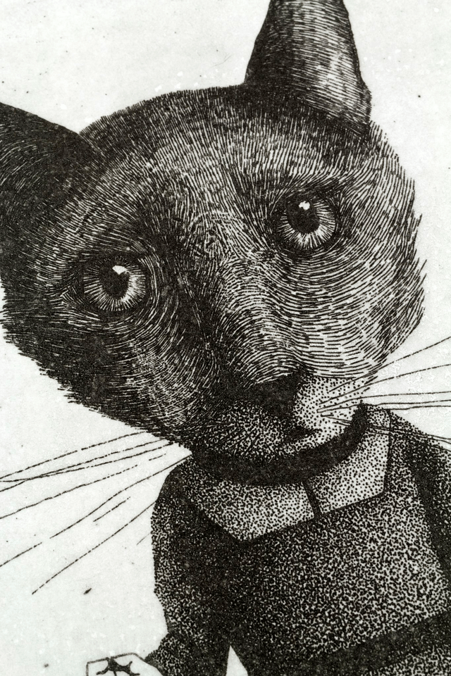 Fine art etching / Not framed / The Cat