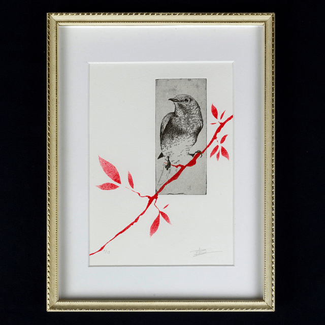 Fine art etching / Vintage Frame / Eastern Bluebird