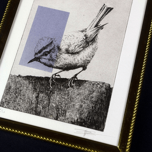 Fine art etching / Vintage frame / Firecrest bird