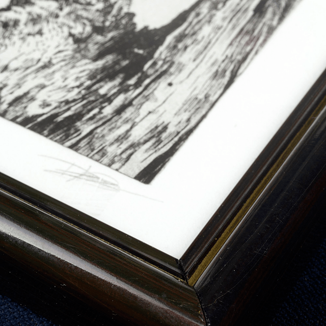 Fine art etching / Vintage Frame / Northern Cardinal