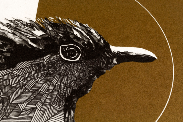 Fine art etching / Not framed / The Robin Bird