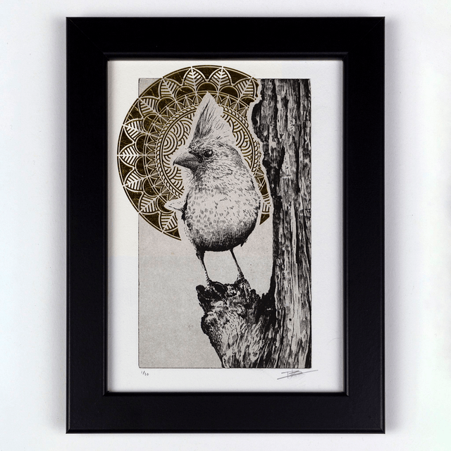 Fine art etching / Not framed / Golden Northern Cardinal