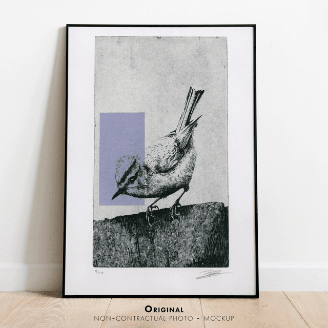 Fine art etching / Not framed / Firecrest Bird