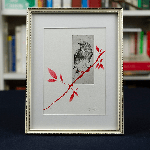 Fine art etching / Vintage Frame / Eastern Bluebird