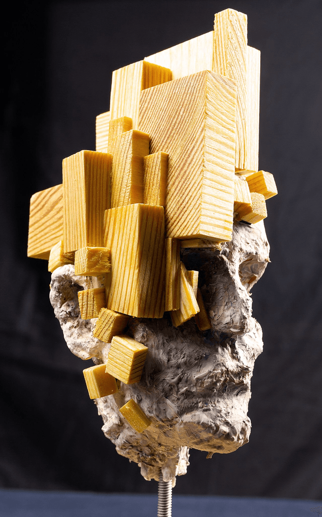 Wood Sculpture / Papier mache / Head I