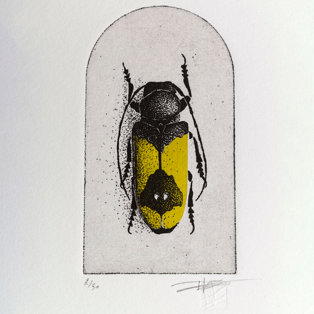 Fine art etching / Phosphorus Virescens