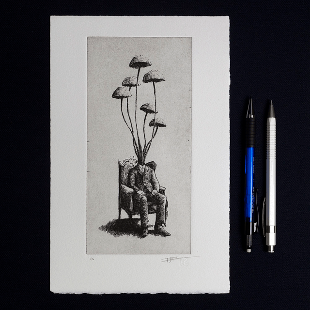 Fine art etching / Not framed / Stropharia Semiglobata