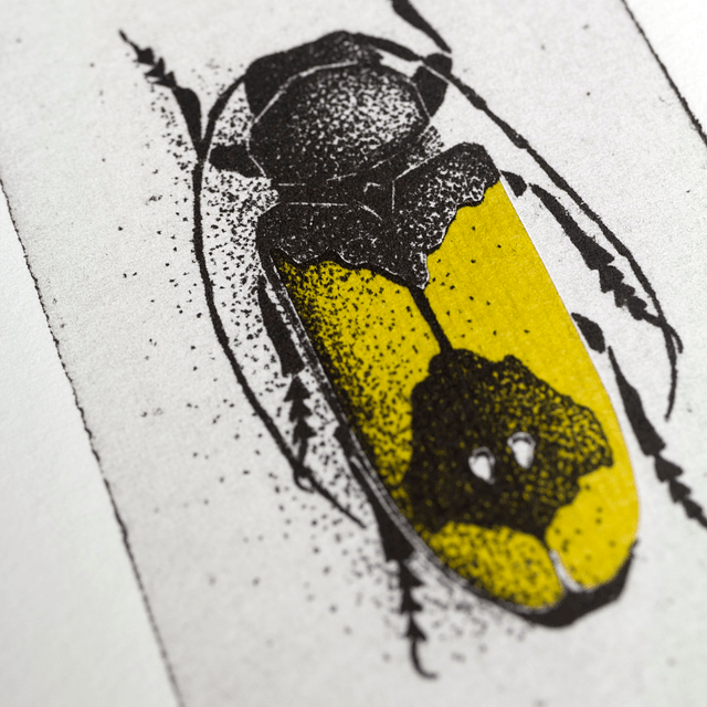 Fine art etching / Phosphorus Virescens