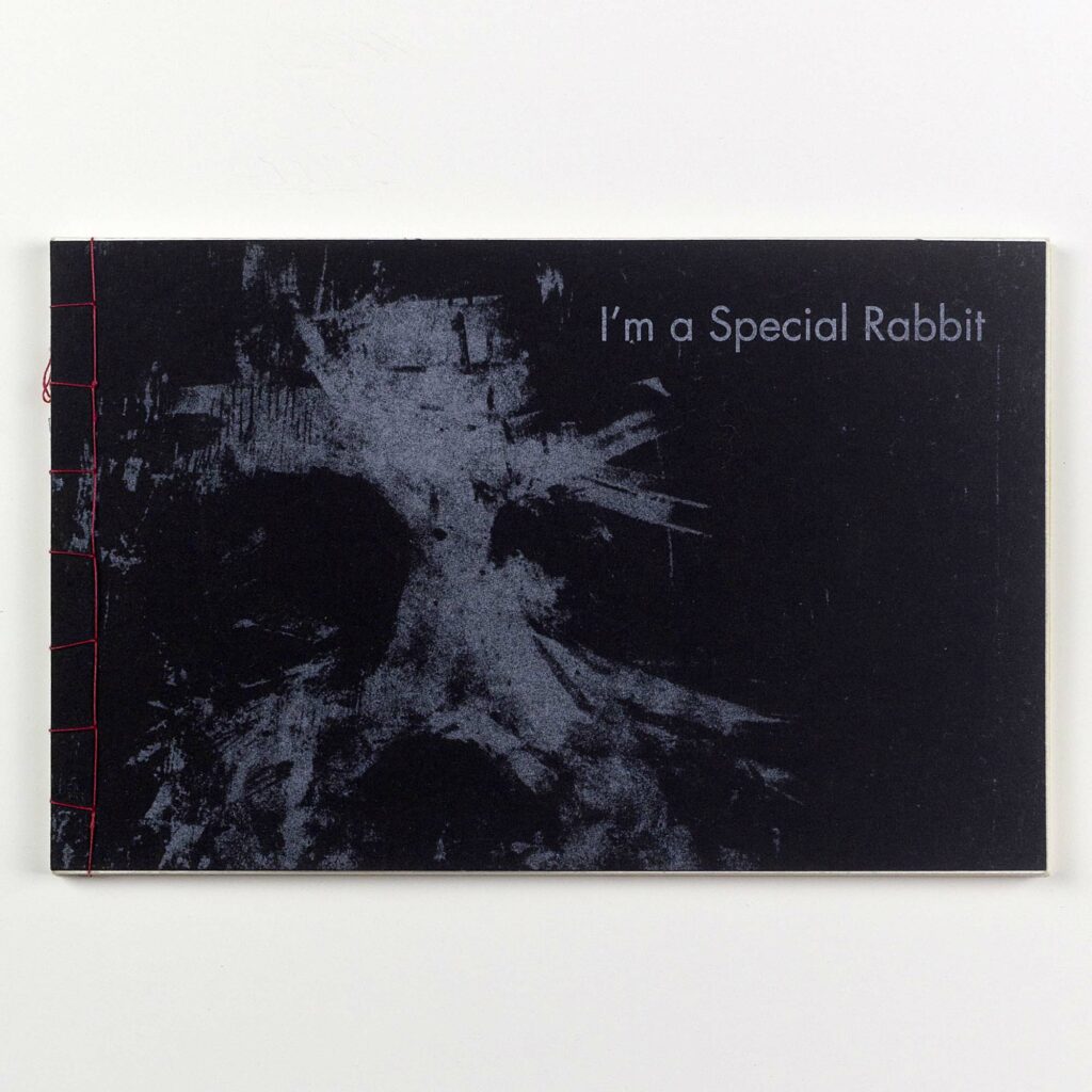 Livre d'art à couverture noire texturée affichant le titre "I'm a Special Rabbit" en lettres fines blanches, relié à la main sur le côté gauche avec un fil rouge apparent, présenté à plat sur un fond blanc neutre.