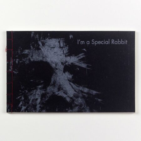Livre d'art à couverture noire texturée affichant le titre "I'm a Special Rabbit" en lettres fines blanches, relié à la main sur le côté gauche avec un fil rouge apparent, présenté à plat sur un fond blanc neutre.