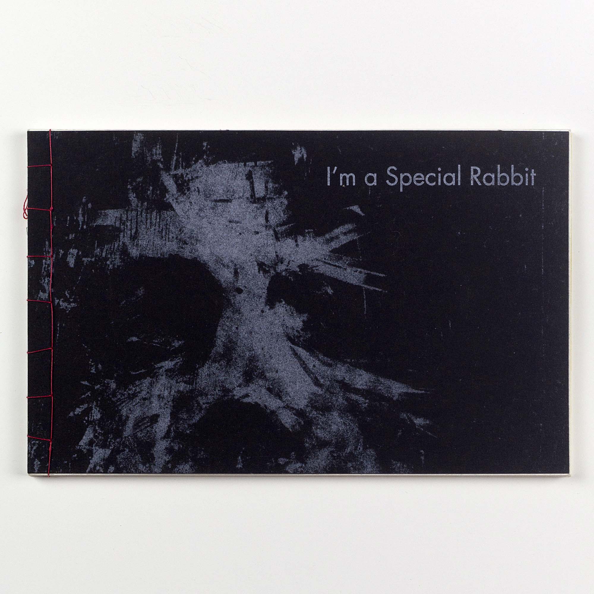 Livre d'art à couverture noire texturée affichant le titre "I'm a Special Rabbit" en lettres fines blanches, relié à la main sur le côté gauche avec un fil rouge apparent, présenté à plat sur un fond blanc neutre.