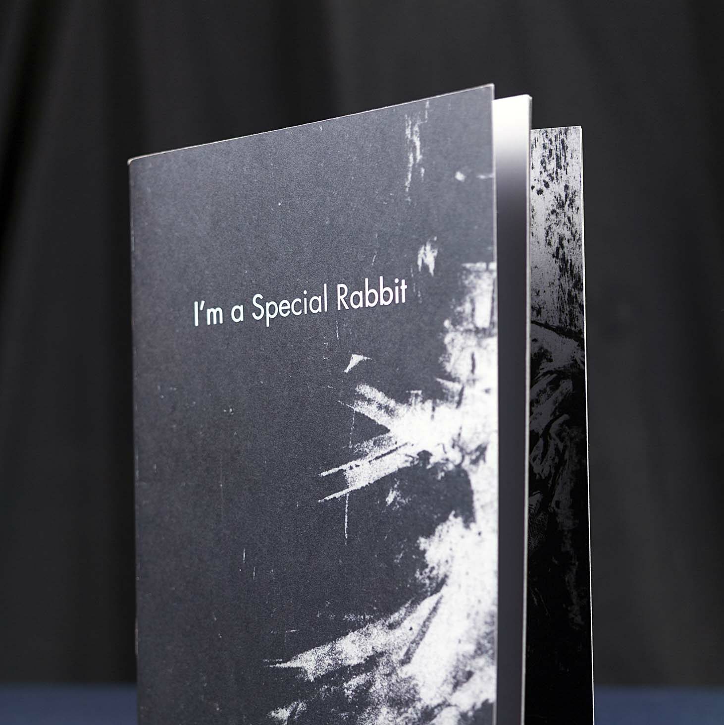 Livret d'art vertical "I'm a Special Rabbit" à couverture noire et blanche texturée, posé debout à côté de deux crayons de bois noirs sur une surface sombre.