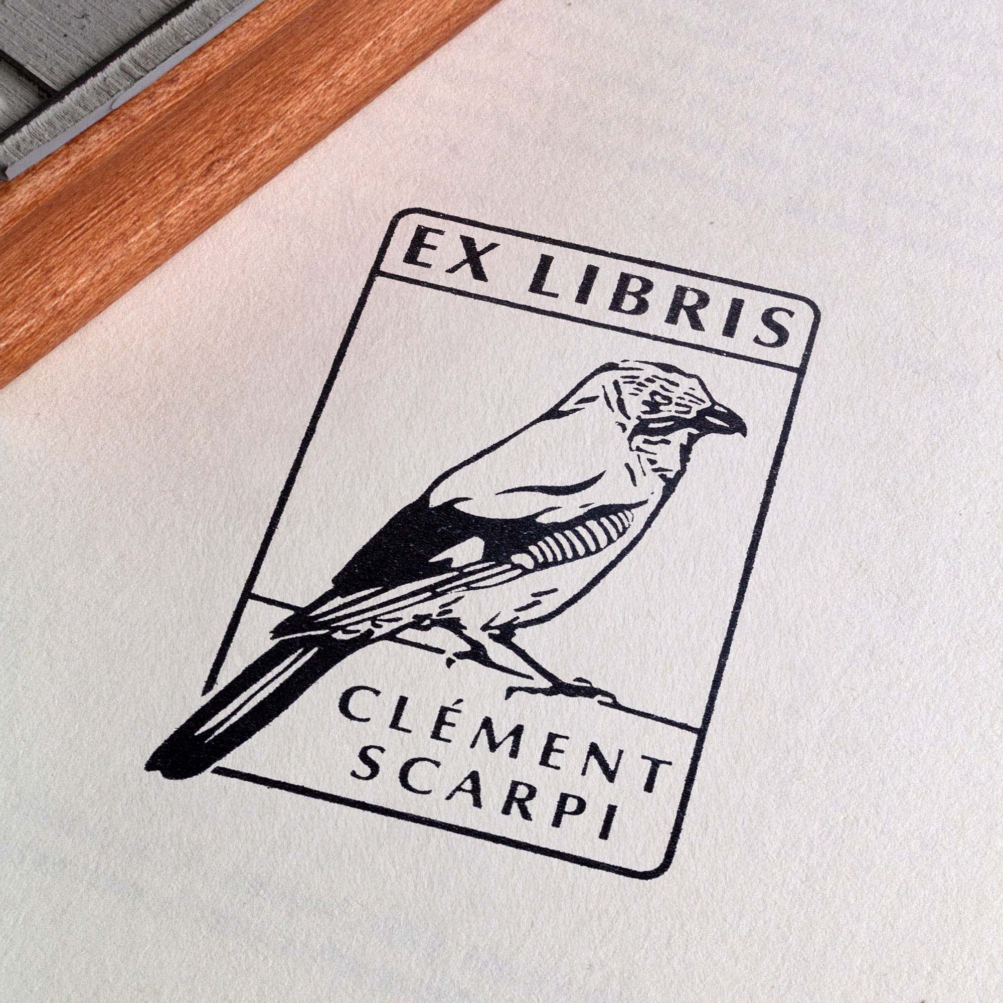 Deux tampons Ex-Libris en bois gravés d'un geai des chênes, présentés côte à côte au creux de deux mains. Des lignes de texte indiquent la différence de finition : à gauche, le bois a une teinte rousse avec la mention "Vernis Acajou Satin", et à droite, une teinte naturelle claire avec la mention "Vernis Incolore Brillant".