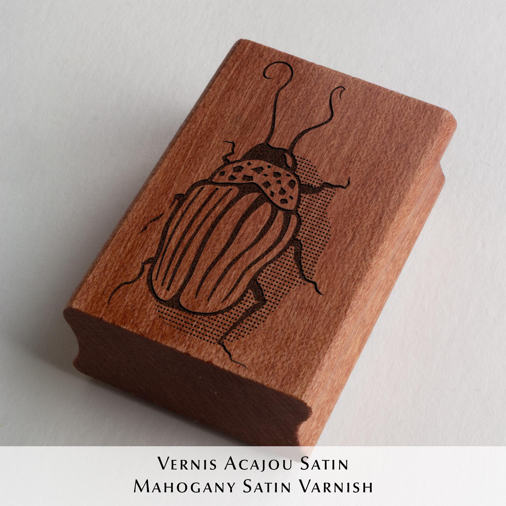 Tampon ex-libris personnalisé en bois et caoutchouc Insect I de Clément Scarpi. Accessoire de papeterie et de bibliothèque pour amoureux des livres représentant l'empreinte gravée d'un scarabée (insecte) sous l'inscription Ex Libris, posé à côté d'un encreur noir sur les pages ouvertes d'un livre.