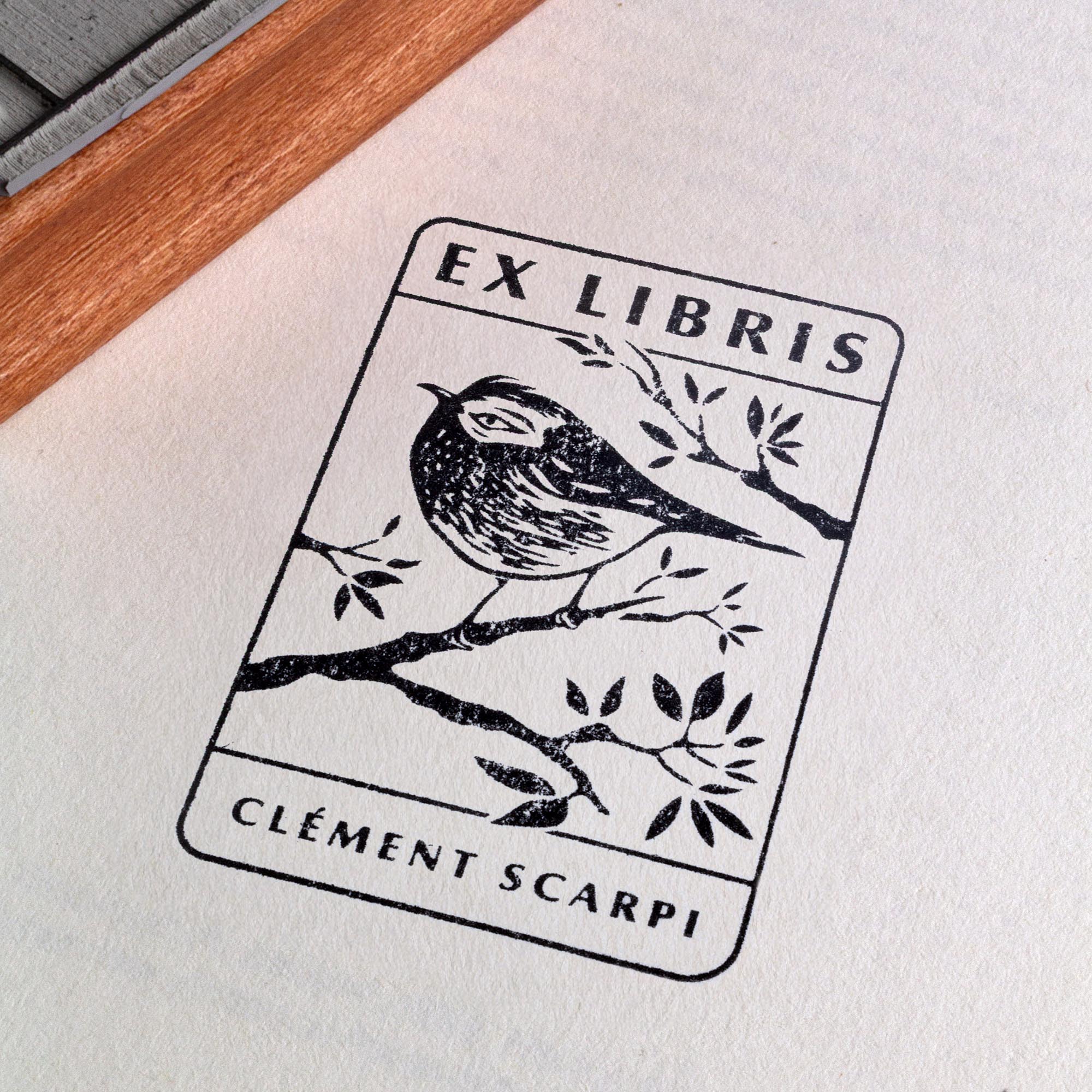 Tampon ex-libris en bois et caoutchouc The Kinglet de Clément Scarpi. Marque-page et accessoire de bibliothèque personnalisé représentant une empreinte de gravure de roitelet (oiseau) sur une branche avec l'inscription Ex Libris, posé sur les pages ouvertes d'un livre.