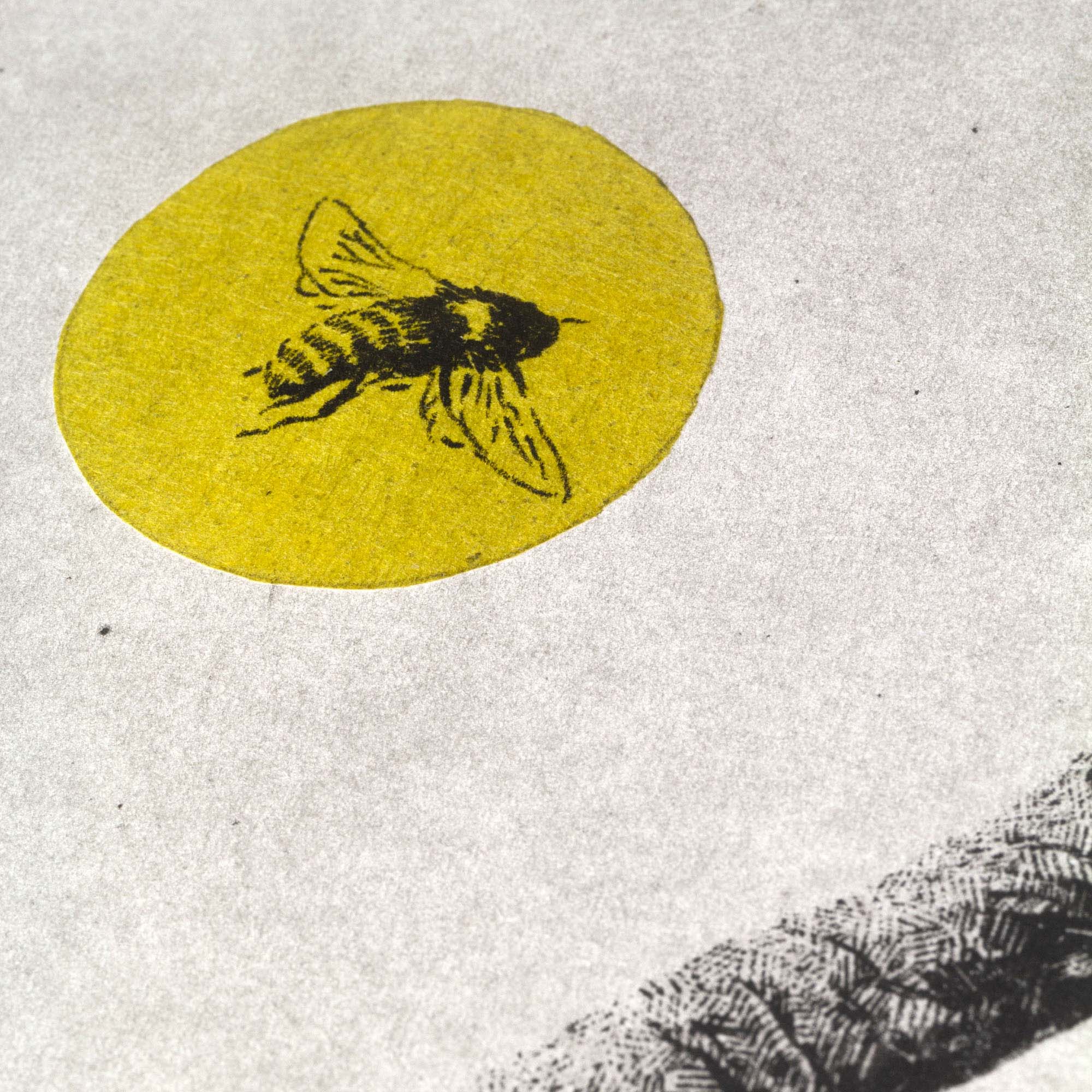 Gravure surréaliste Bee and Mushroom par Clément Scarpi, représentant un personnage à tête de champignon sur un vélo rétro, face à une abeille dans un cercle jaune.