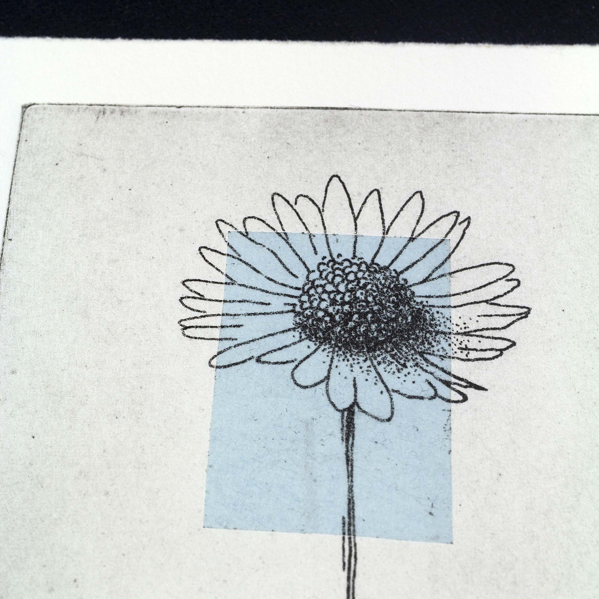 Gravure surréaliste "Bellis perennis" dans un grand cadre noir fin, posée au sol sur un parquet en bois clair contre un mur blanc. L'œuvre verticale montre un personnage en costume dont la tête est remplacée par une grande marguerite sur fond bleu.