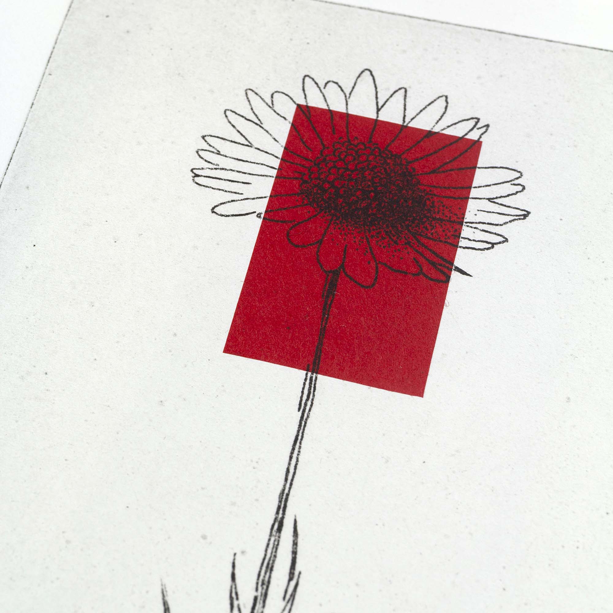 Gravure surréaliste "Bellis perennis" dans un grand cadre noir fin, posée au sol sur un parquet en bois clair contre un mur blanc. L'œuvre verticale montre un personnage en costume dont la tête est remplacée par une grande marguerite sur fond rouge.