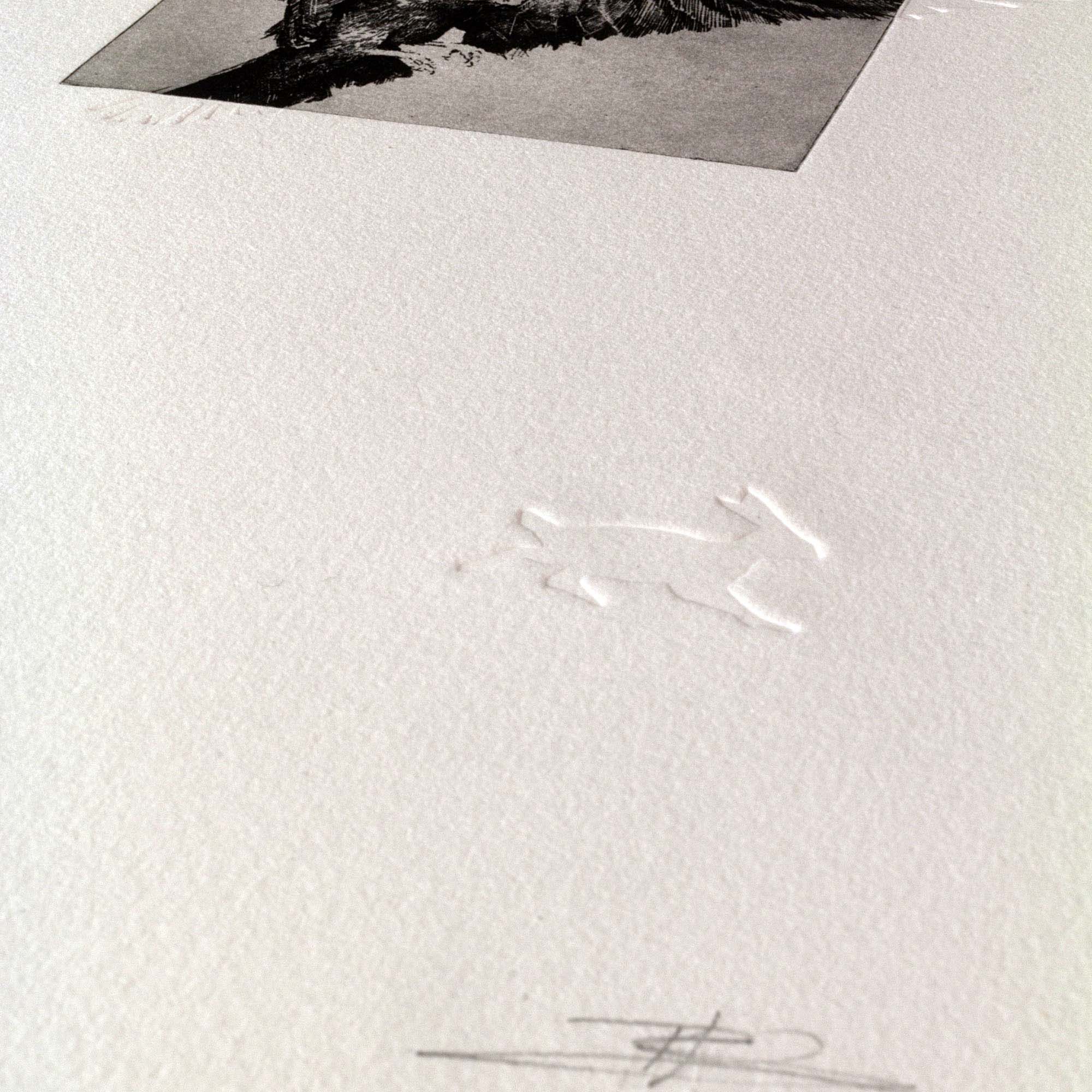 Gravure originale en noir et blanc représentant un oiseau de proie en plein vol, encadrée dans un cadre noir fin et posée sur un sol en bois clair contre un mur blanc.