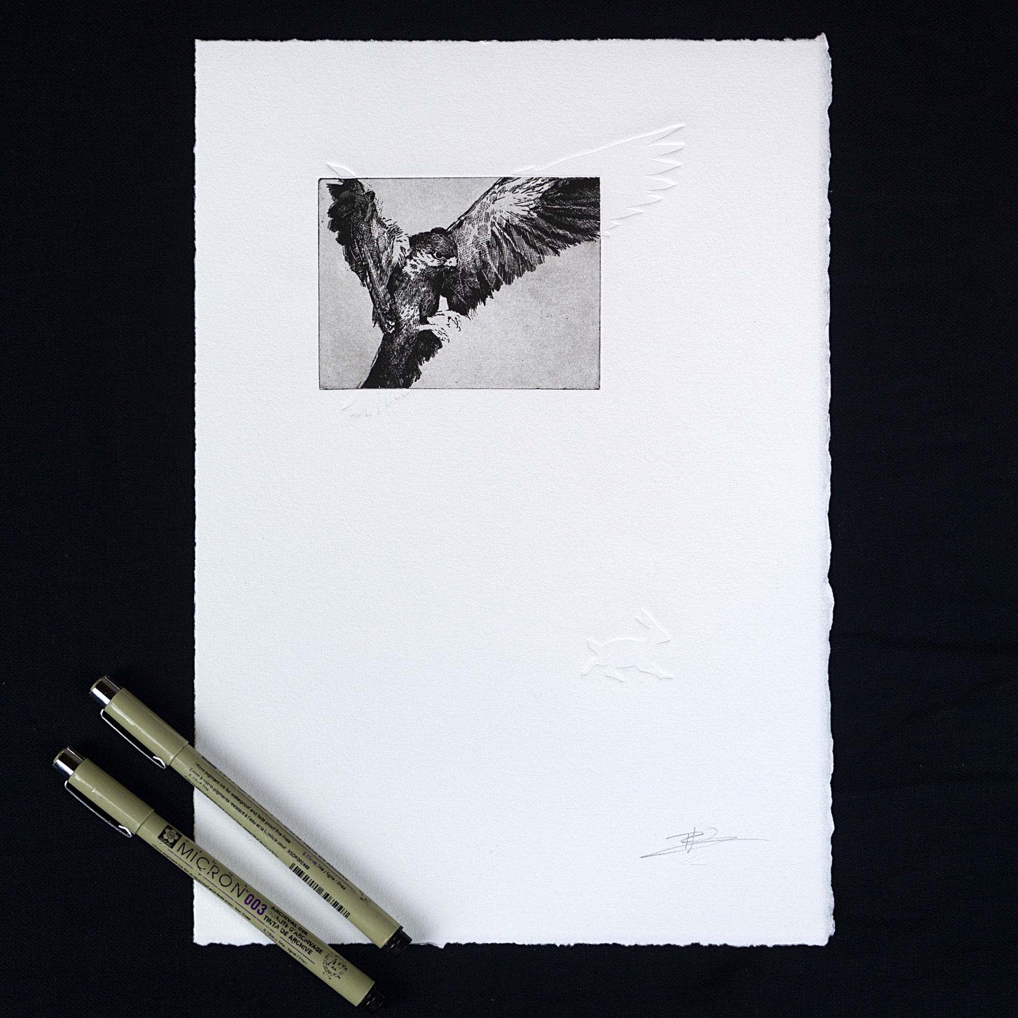 Gravure originale en noir et blanc représentant un oiseau de proie en plein vol, encadrée dans un cadre noir fin et posée sur un sol en bois clair contre un mur blanc.