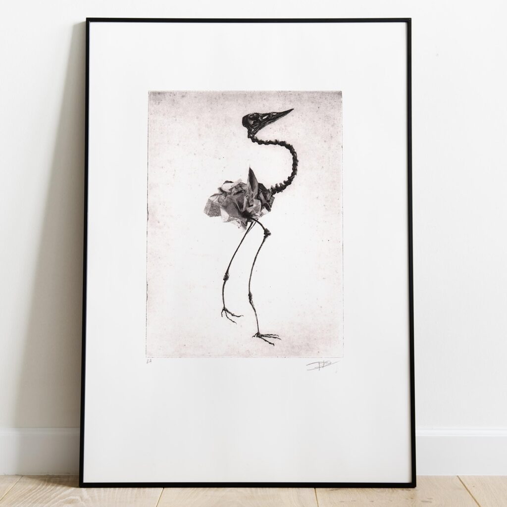 Gravure originale d’art contemporain intitulée Bird skull I par Clément Scarpi, représentant une silhouette d'oiseau faite d'un crâne et d'un squelette filiforme noir avec un corps en papier imprimé.