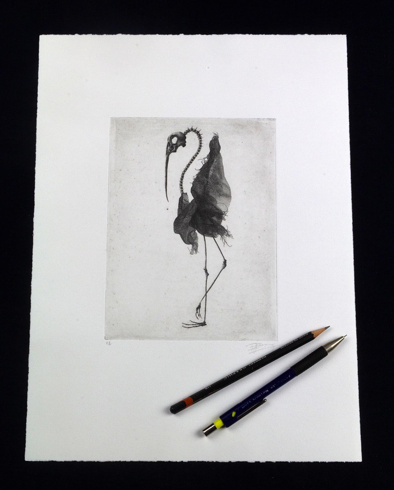 Impression d'art en noir et blanc Bird skull II de l'artiste Clément Scarpi représentant une silhouette d'oiseau hybride avec un crâne détaillé, de longues pattes et un plumage texturé.