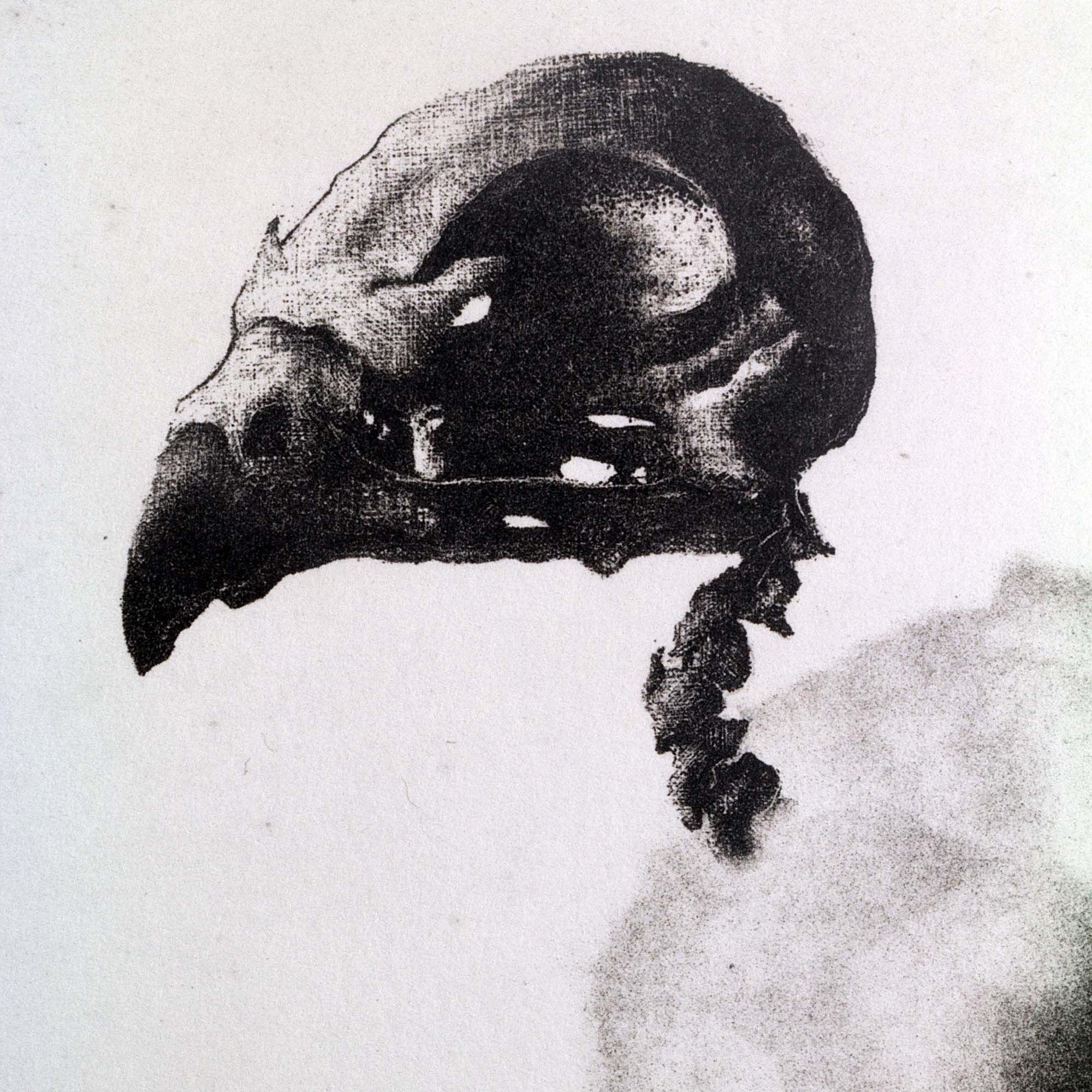 Gravure artistique en noir et blanc représentant le squelette d’un oiseau, encadrée dans un cadre noir et présentée sur un mur blanc.