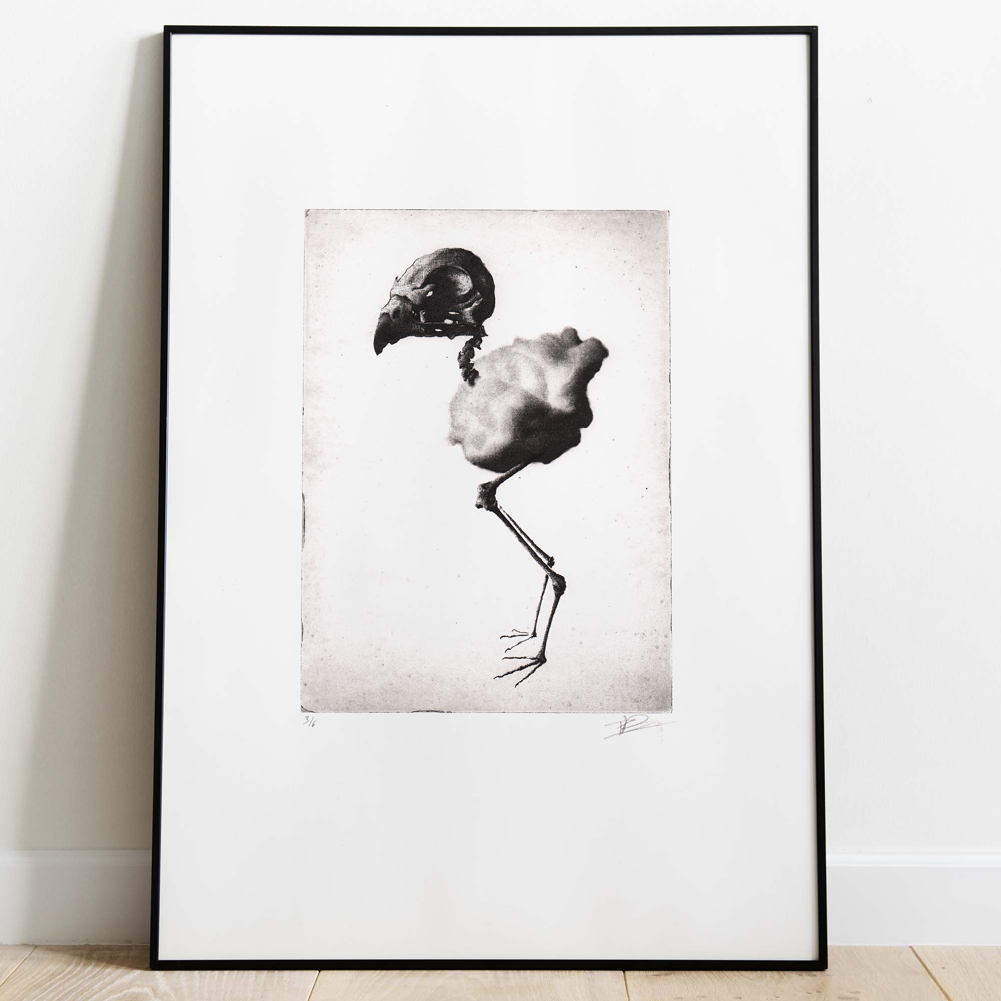 Gravure artistique en noir et blanc représentant le squelette d’un oiseau, encadrée dans un cadre noir et présentée sur un mur blanc.