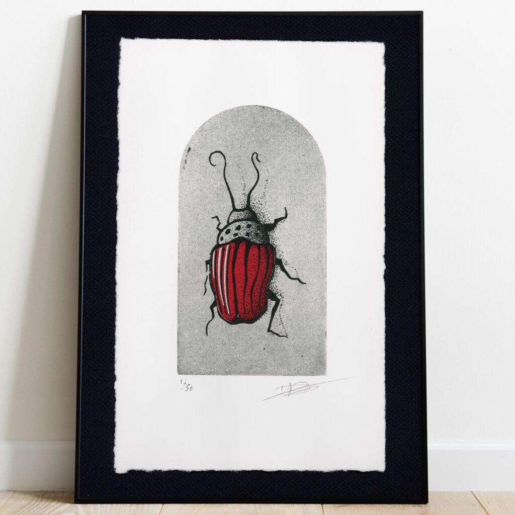 Gravure originale Leptinotarsa decemlineata par Clément Scarpi, estampe d'art entomologique d'un doryphore rouge et noir.