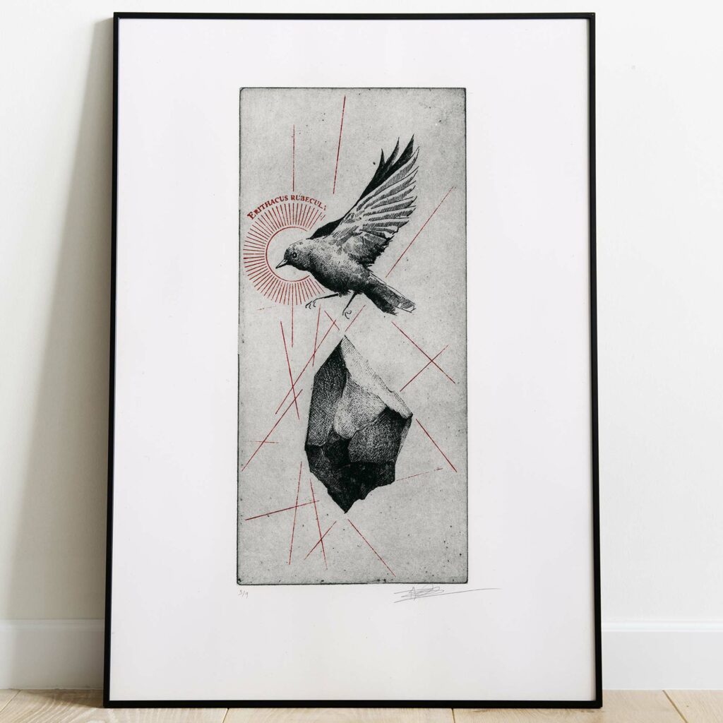 Gravure originale d'un rouge-gorge en plein vol, avec une pierre et des lignes rouges, encadrée en noir