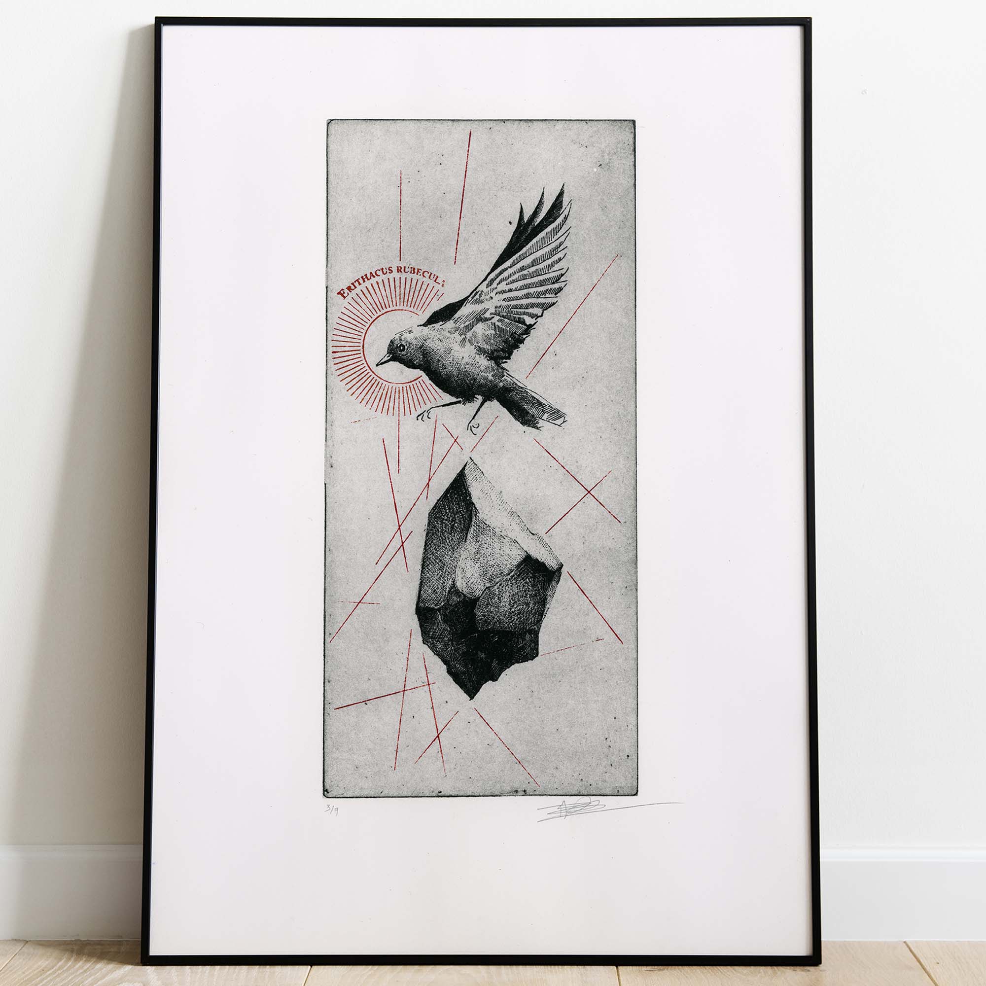 Gravure originale d'un rouge-gorge en plein vol, avec une pierre et des lignes rouges, encadrée en noir